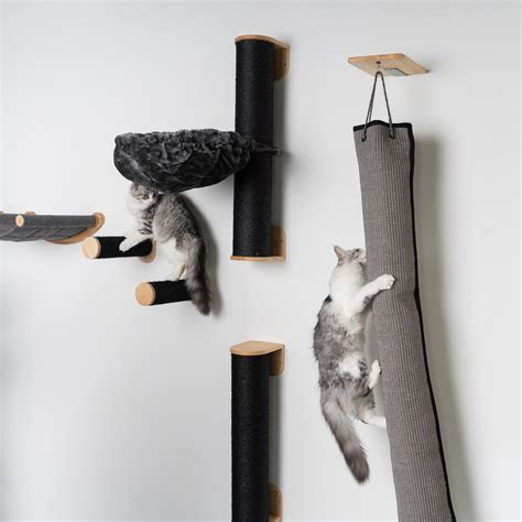 Can Cats Climb Mesh at Louise Rizo blog