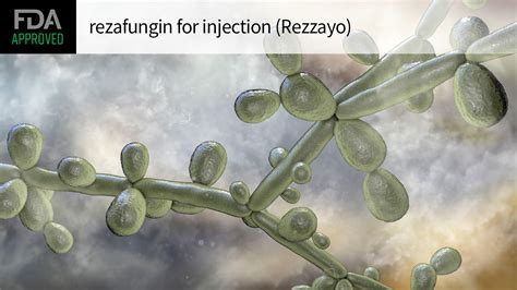 念珠菌病迎来首款创新疗法！FDA批准抗真菌新药REZZAYO(rezafungin）-上市-医保-临床适应症-香港济民药业