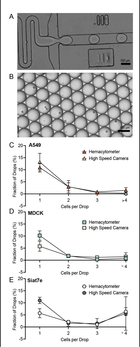 Image result for Microfludics Cell Encapsulation
