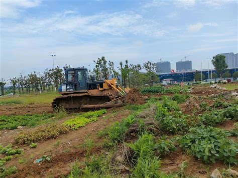 助力城市环境提升，武汉东西湖区径河街铲除300亩违规菜地