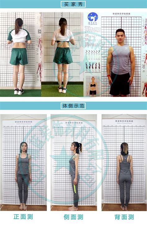 体态评估表挂式贴式体测健身房瑜伽馆私教身体形姿矫正网格对比图-阿里巴巴