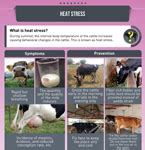 Santosa - Santosa Cares