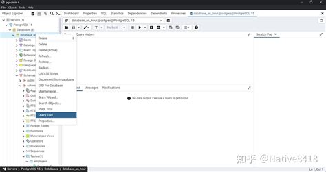 Query SQL with Pgadmin4 的图像结果
