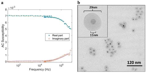Classification of Magnetic Nanoparticle Systems—Synthesis ...