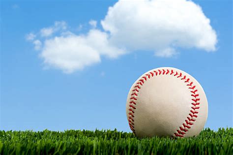 Baseball Field Backdrop 的图像结果