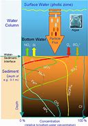 Geochemistry 的图像结果