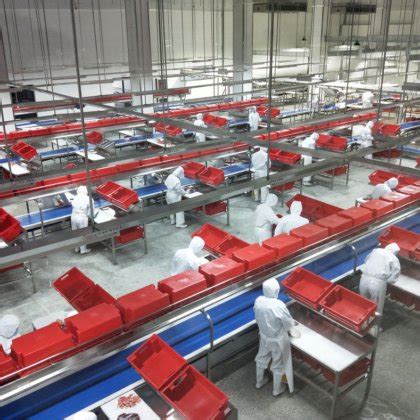 High quality industrial automatic Slaughter conveyor belt line ...