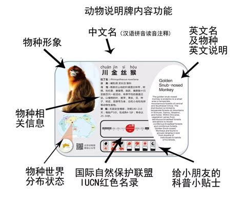 为什么中国互联网公司起名喜欢用动物、植物和叠词？_龙商网