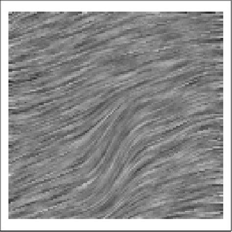 Image result for Line Integral Convolution Image