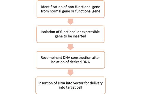 Basic Process of Gene Therapy 的图像结果