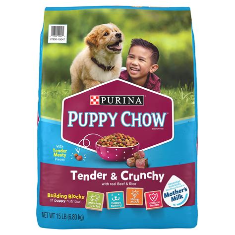 Puppy Chow Tender & Crunchy Beef & Rice Puppy Dry Dog Food 15 lbs