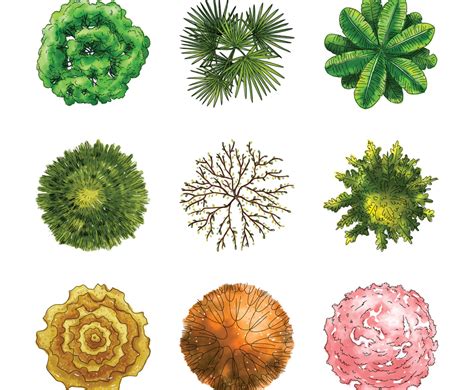 TreePlan 的图像结果