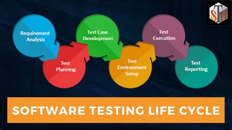 Testing Life Cycle 的图像结果