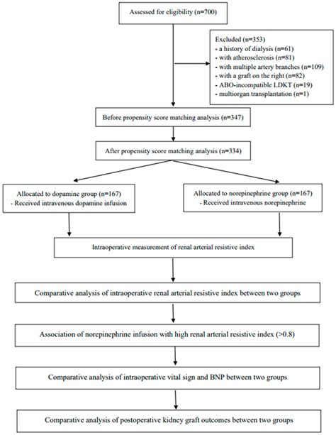 Impact of Norepinephrine and Dopamine Infusion on Renal Arterial ...