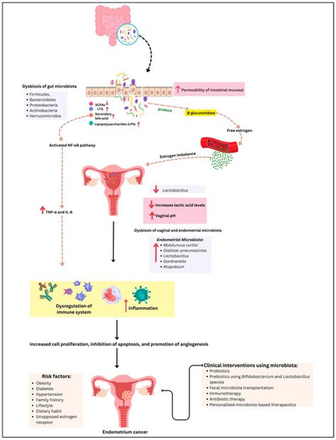 Cancers | An Open Access Journal from MDPI