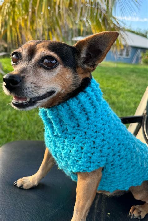 Image result for Dog Sweater Crochet Tutorial