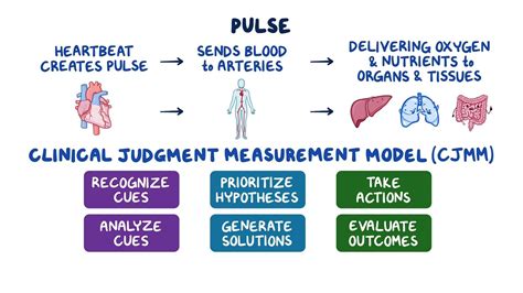 Video: Pulse | Osmosis