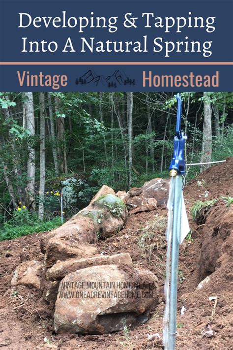 Image result for Tapping a Natural Spring