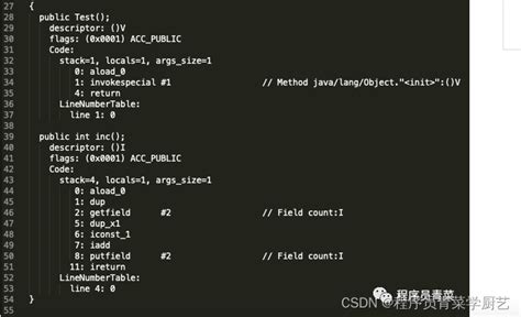 Minecraft Class File 的图像结果