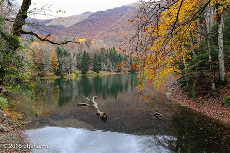 BUNGALOW SA KUPATILOM (Kolasin) - Lodging Reviews & Photos - Tripadvisor