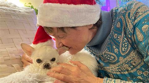 Fundraiser for Laurie Nelson by Kaya Alexander : Please Help Choo Get Emergency Surgery