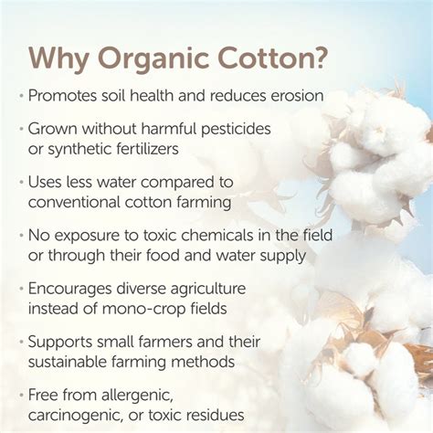 Buy Organic Cotton Chapati / Roti Wrap Cloth- Set of 6 Online on Brown ...