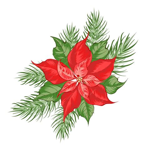 Poinsettia Plant Clip Art