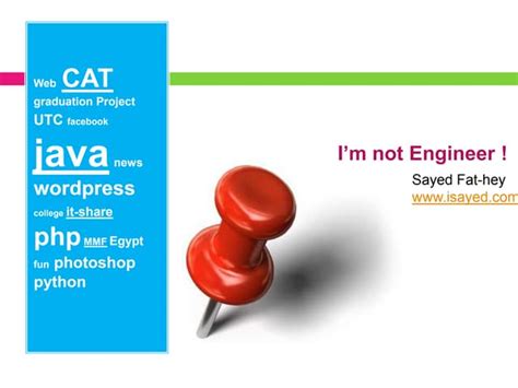 Image result for Web Developer vs Programmer