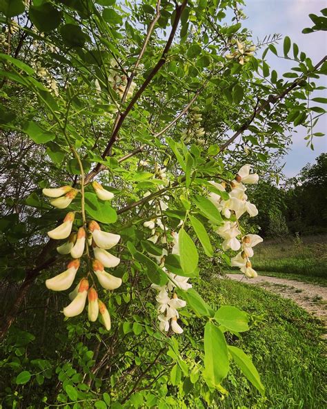 Shale Hollow Park : r/Columbus