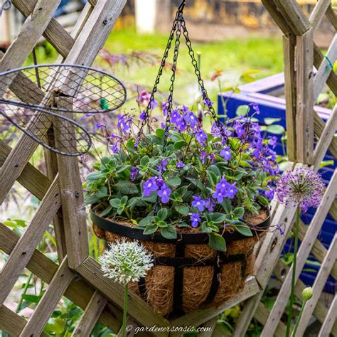 Hanging Basket Plant Pots