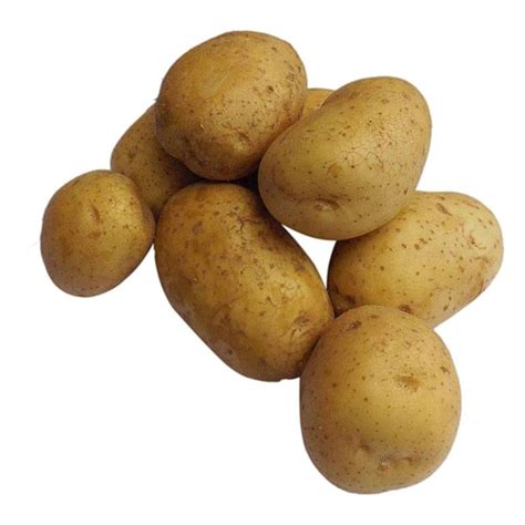Картофель вега