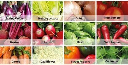 CYBEXIS 12 Varities Vegetable for Planting Seed Price in India - Buy ...