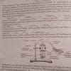 show acid reacts with metal carbonate and metal hydrogen carbonates to ...