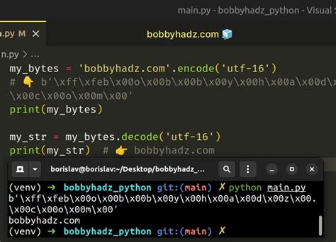 Image result for How to Remove Encoding in Python