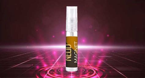 Buy NEUD Luxury Perfume Gift Set 6 x 10 ml for Women, Long Lasting ...