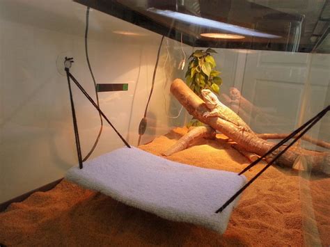 Bearded Dragon Hammock | Bearded dragon hammock, Bearded dragon ...