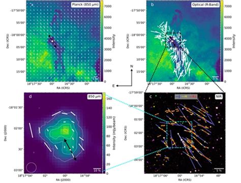 Role of magnetic fields in the birth of a young star traced ...