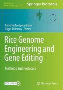 Rice Genome Engineering and Gene Editing: Buy Rice Genome Engineering ...