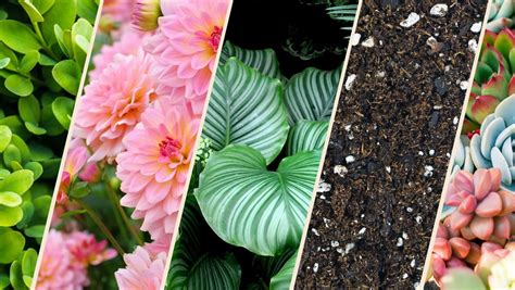 Create your own Sensory Garden!, 1839 County Road MM, Fitchburg, WI ...