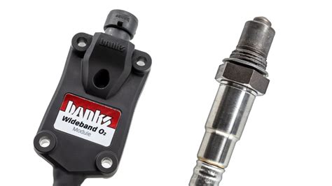 Wideband O2 Sensor Signal 的图像结果