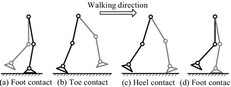 Walking Robot Dynamic 的图像结果