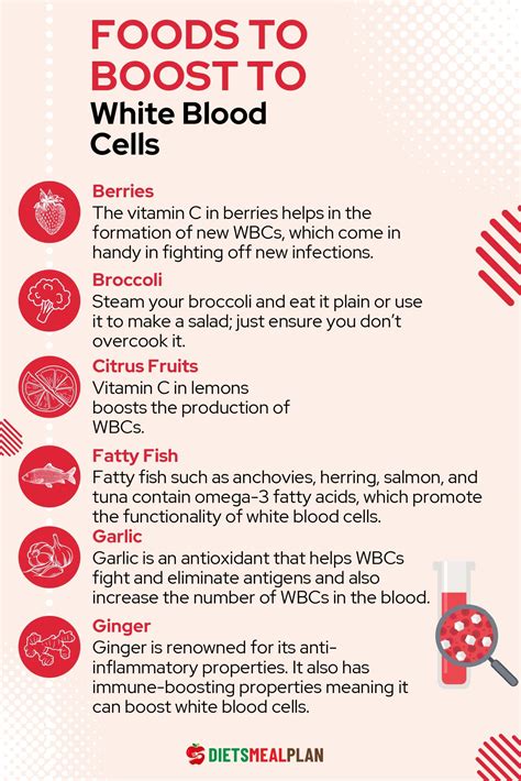 Are There Any Foods That Increase White Blood Cell Count at Makayla Moffatt blog