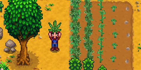Stardew Valley: How to Get Maple Syrup