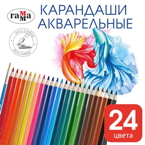 Набор карандашей, вид карандаша: Акварельный, 24 шт. - купить с ...