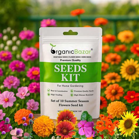 Buy Best Quality Summer Season Flower Seeds kit (Set of 10) Online ...