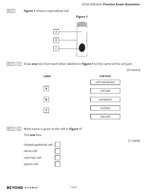 Image result for Diffusion GCSE Science Questions