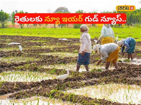 Rythu Runa Mafi: కొత్త ఏడాది శుభవార్త.. రైతుల అకౌంట్లలో డబ్బులు జమ ...