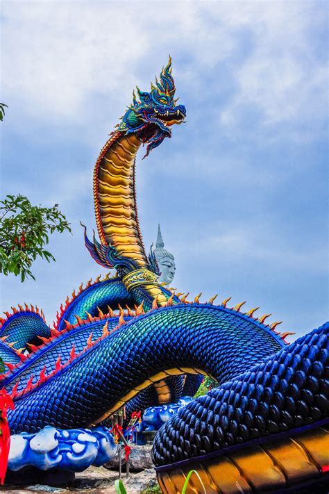 Image result for Amazing Study Tips