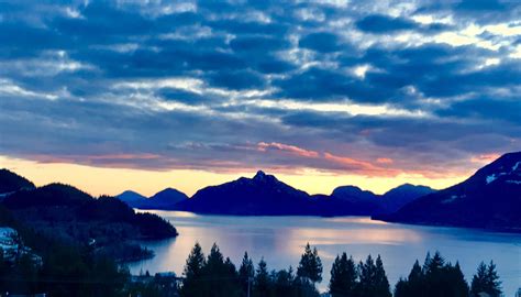 Today Views 的图像结果