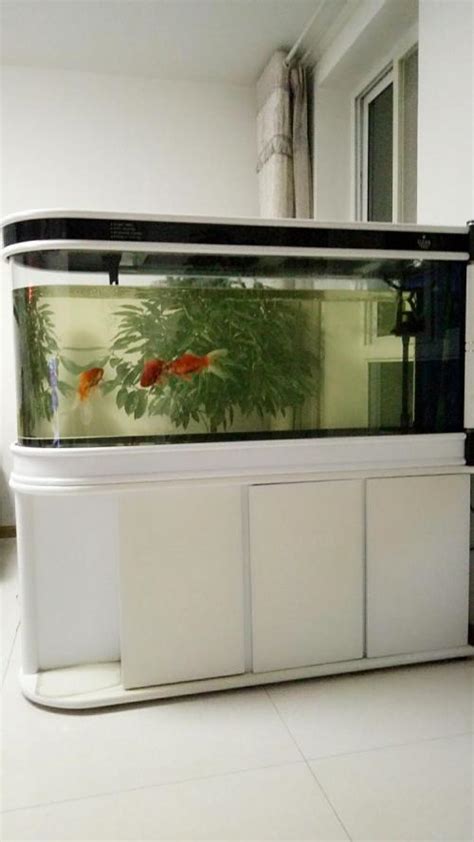 鱼缸100升水放盐千分之五 做鱼缸用什么玻璃胶好_宠物百科 - 养宠客